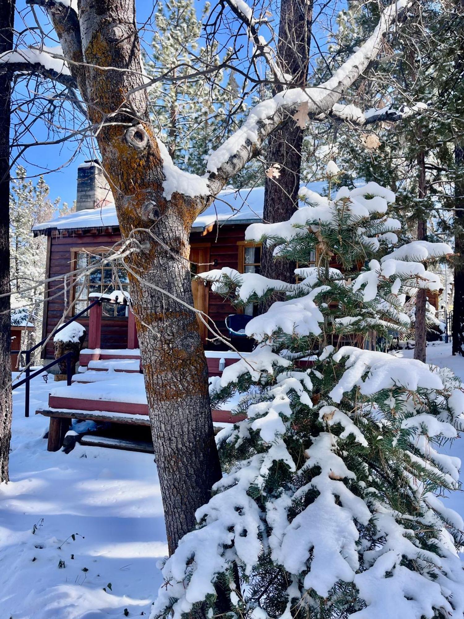 The Nest On Towne Trail - Hot Tub, Bbq, Fire Pit Villa Big Bear Lake Kültér fotó