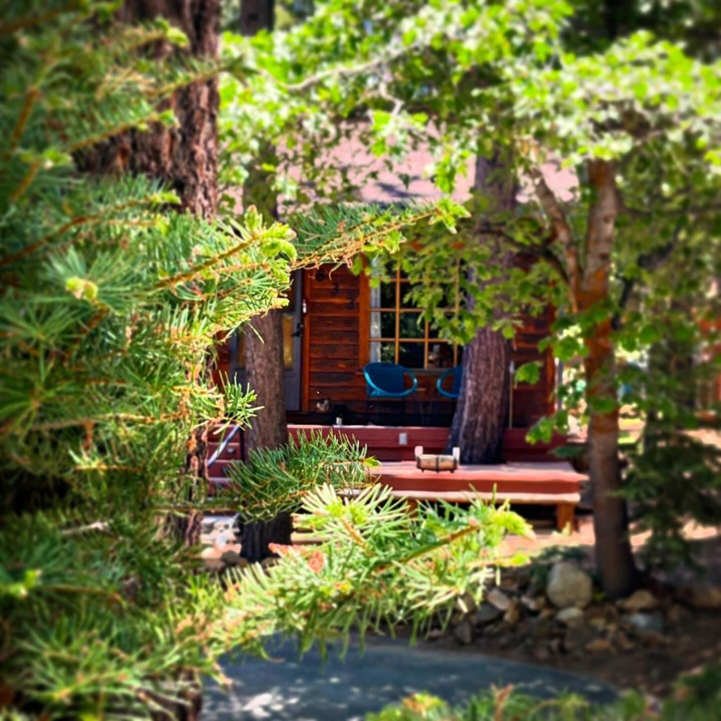 The Nest On Towne Trail - Hot Tub, Bbq, Fire Pit Villa Big Bear Lake Kültér fotó